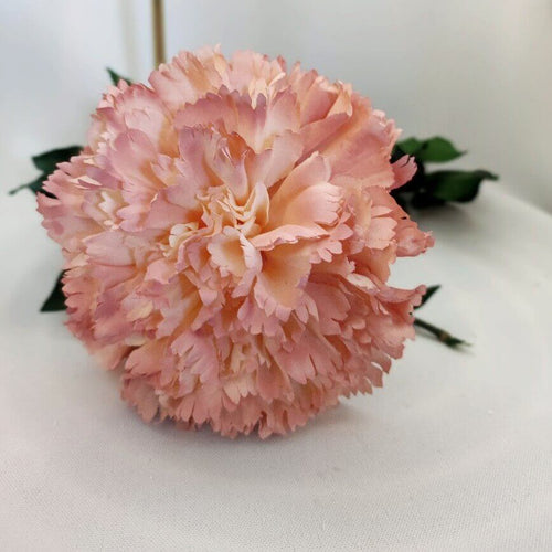 Conjunto de Flores de Flamenca (Ramillete). Flora