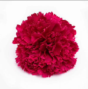 CLAVEL FUCSIA OSCURO