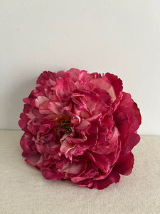 PEONIA FRESA