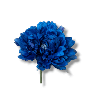 FLOR PEONIA KLEIN